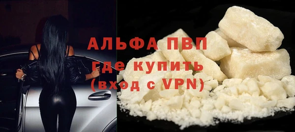 spice Карпинск