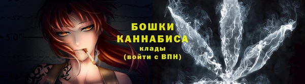 spice Карпинск