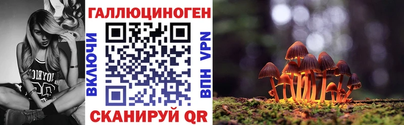 Купить где  Хадыженск  Псилоцибиновые грибы мухоморы 